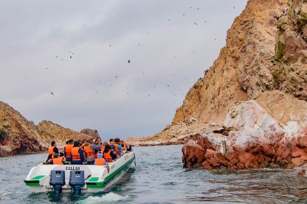 Islas Ballestas Ica
