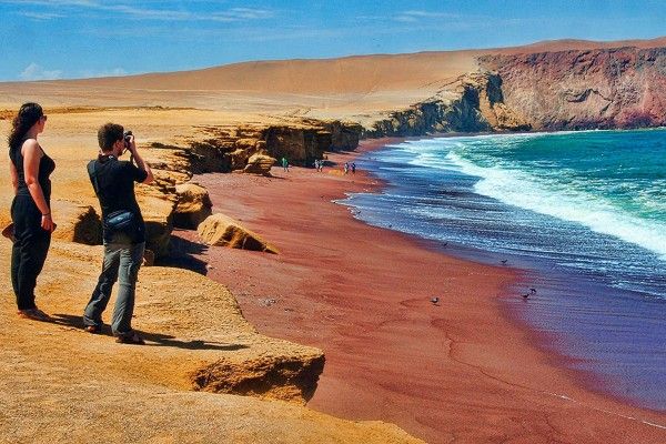 Reserva nacional de Paracas Ica