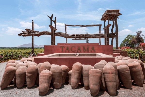 Tacama Ica
