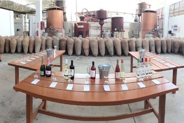 Visitar las bodegas de Pisco