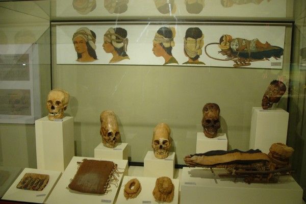museo regional de ica adolfo bermúdez jenkins